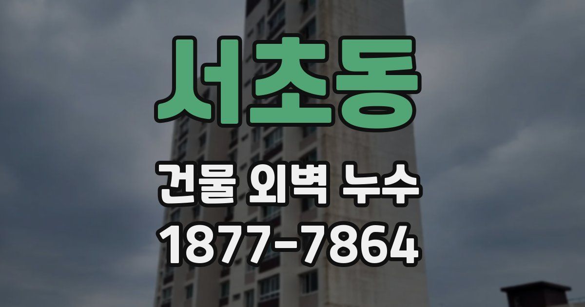 서초동 건물 외벽 누수