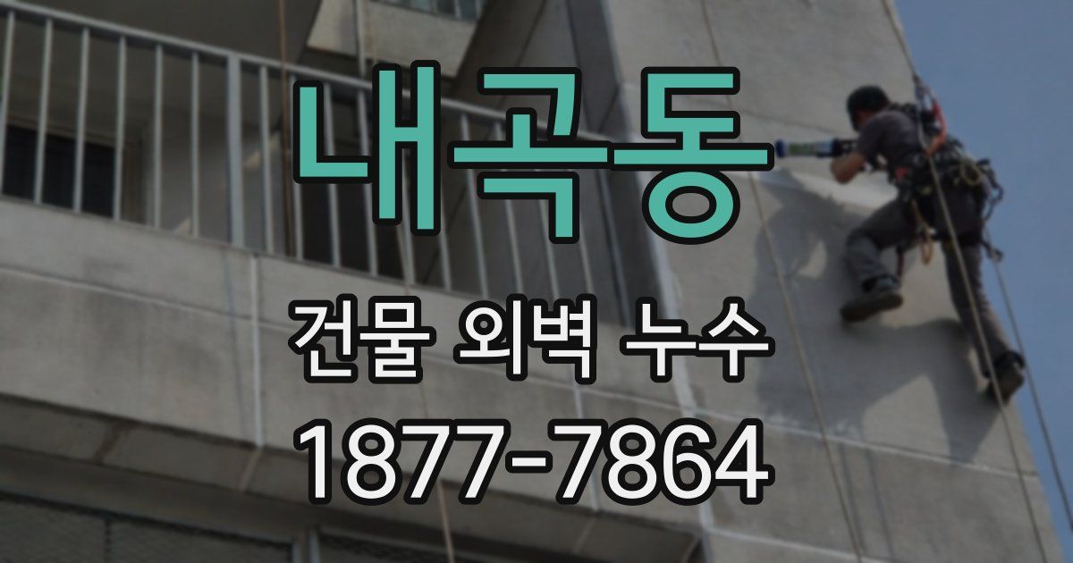 내곡동 건물 외벽 누수