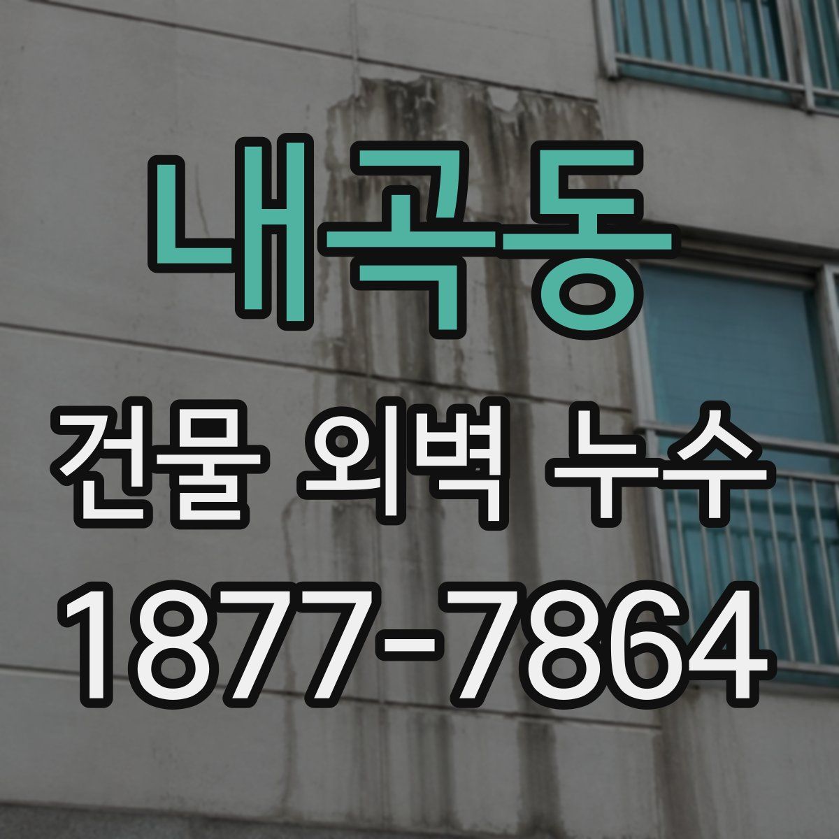 내곡동 건물 외벽 누수