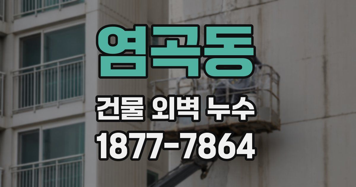 염곡동 건물 외벽 누수