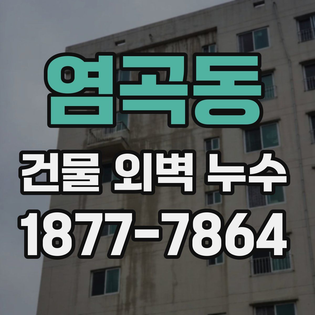 염곡동 건물 외벽 누수