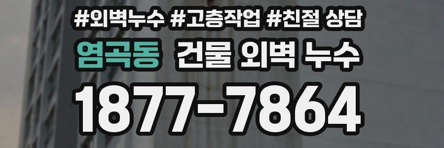 염곡동 건물 외벽 누수