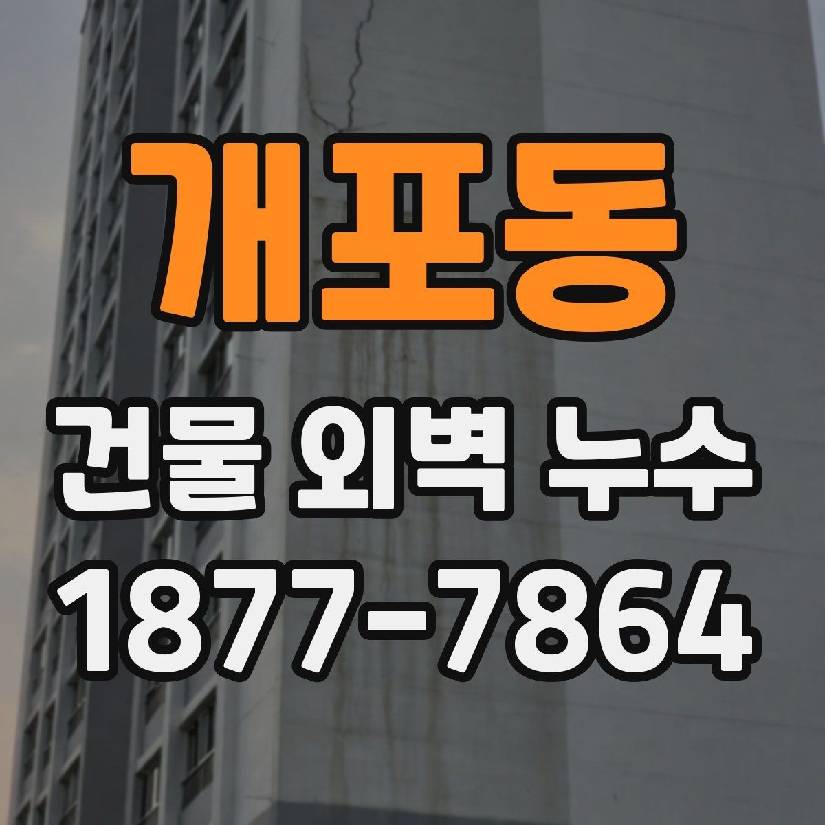 개포동 건물 외벽 누수 점검 항목을 쉽게 정리하면