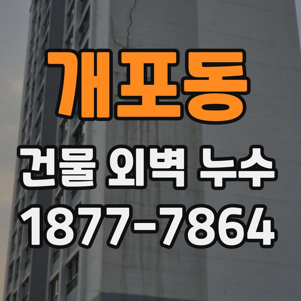 개포동 건물 외벽 누수