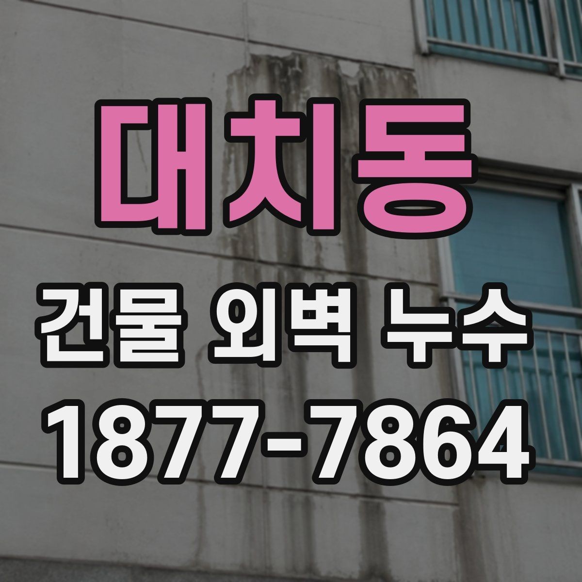 대치동 건물 외벽 누수 의심될 때 먼저 볼 부분