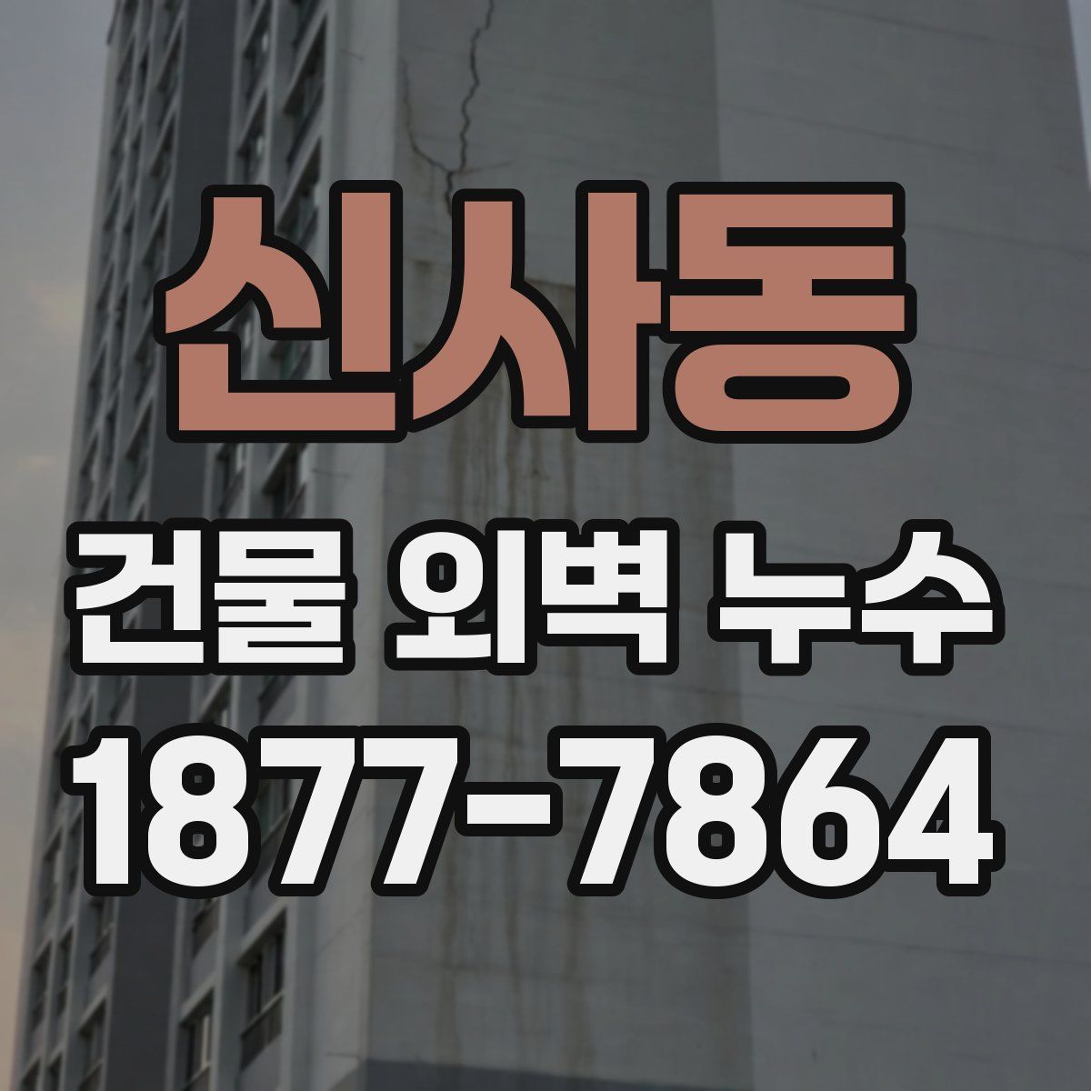 신사동 건물 외벽 누수