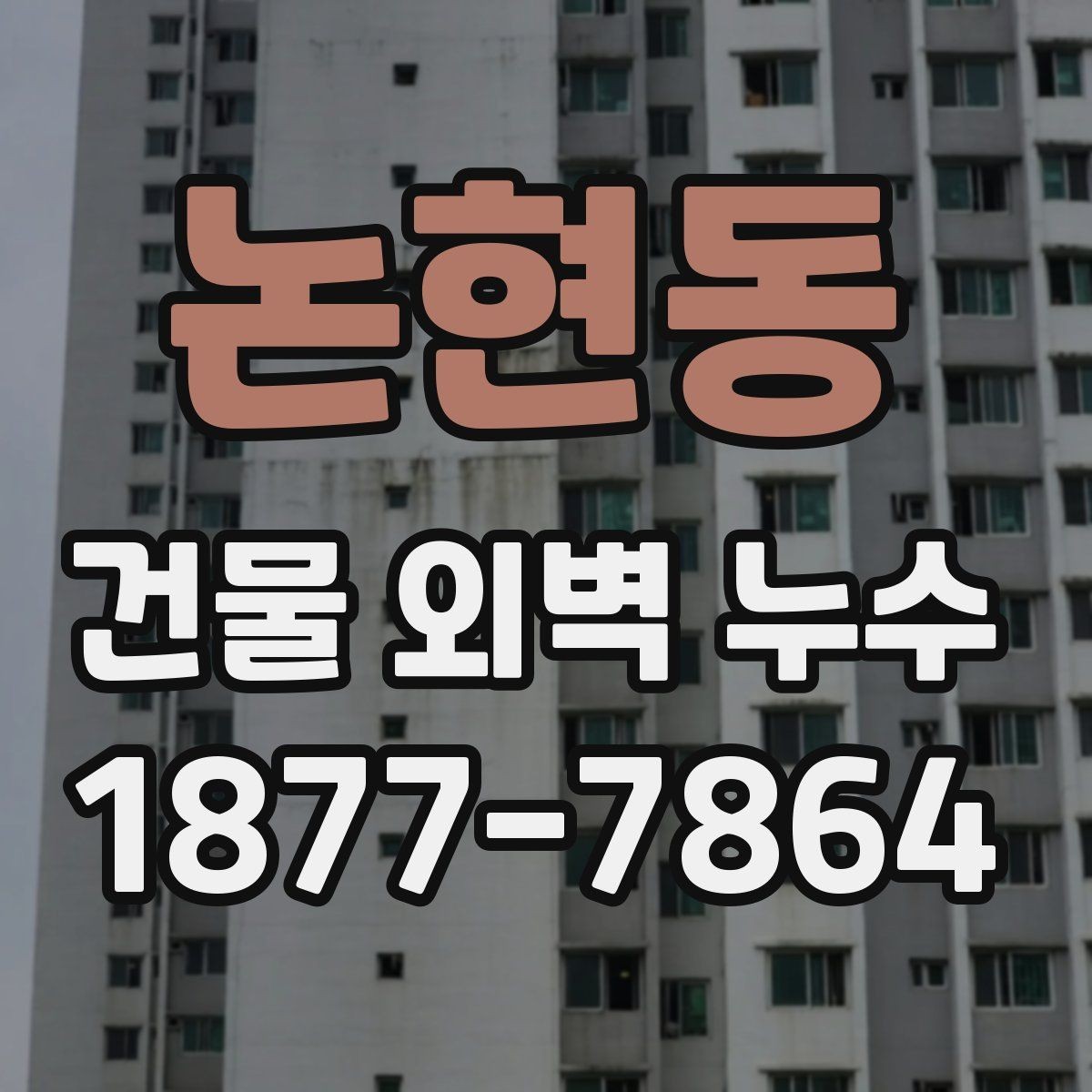 논현동 건물 외벽 누수 보수 후 점검해야 할 마감 상태