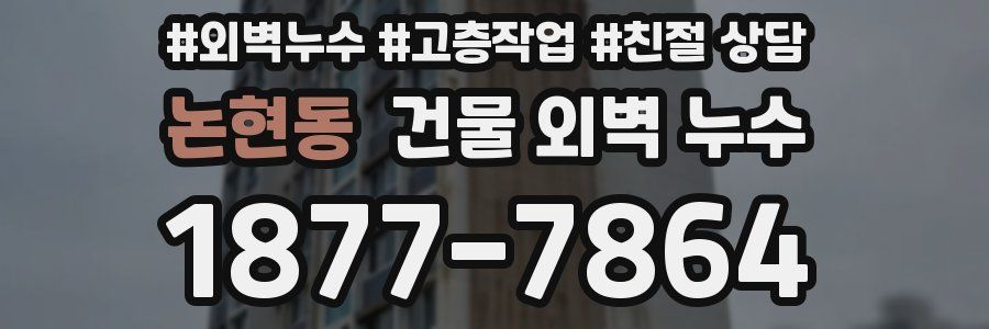 논현동 건물 외벽 누수