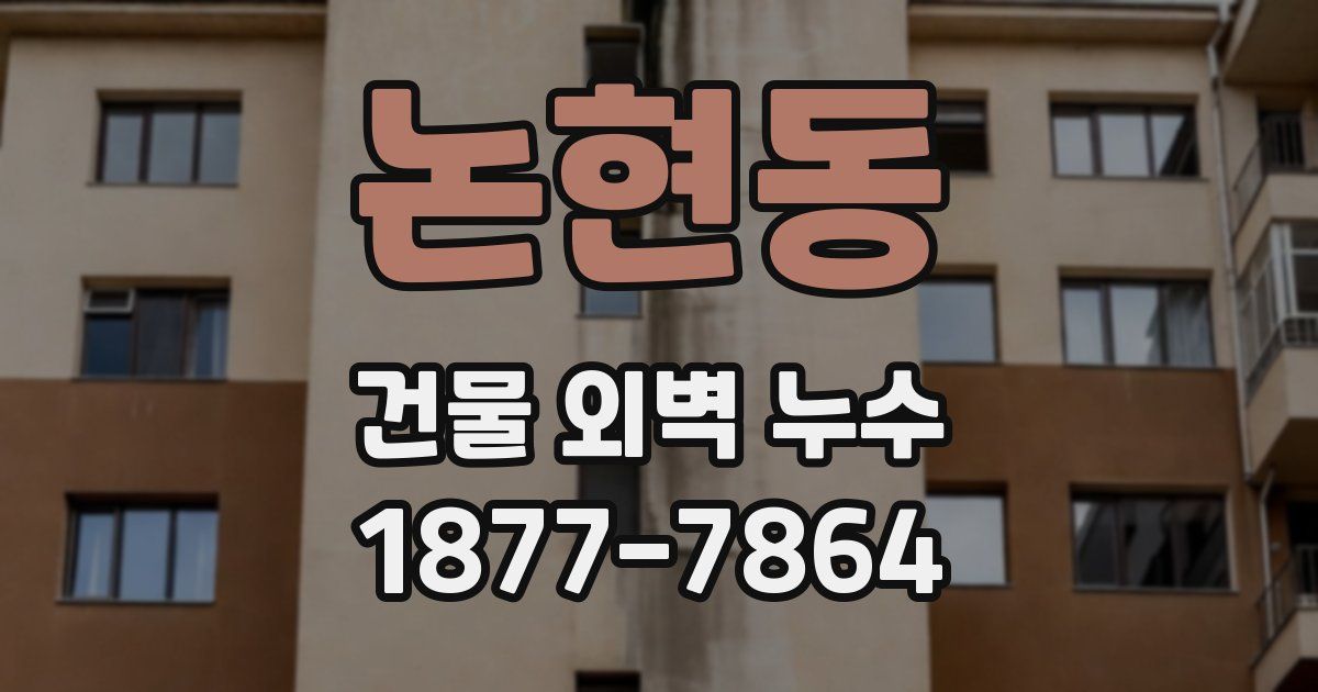 논현동 건물 외벽 누수