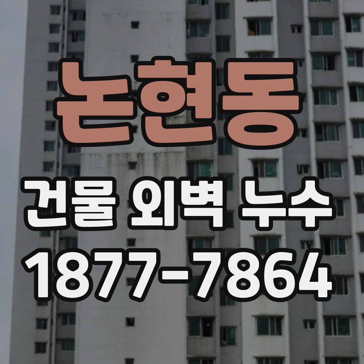 논현동 건물 외벽 누수