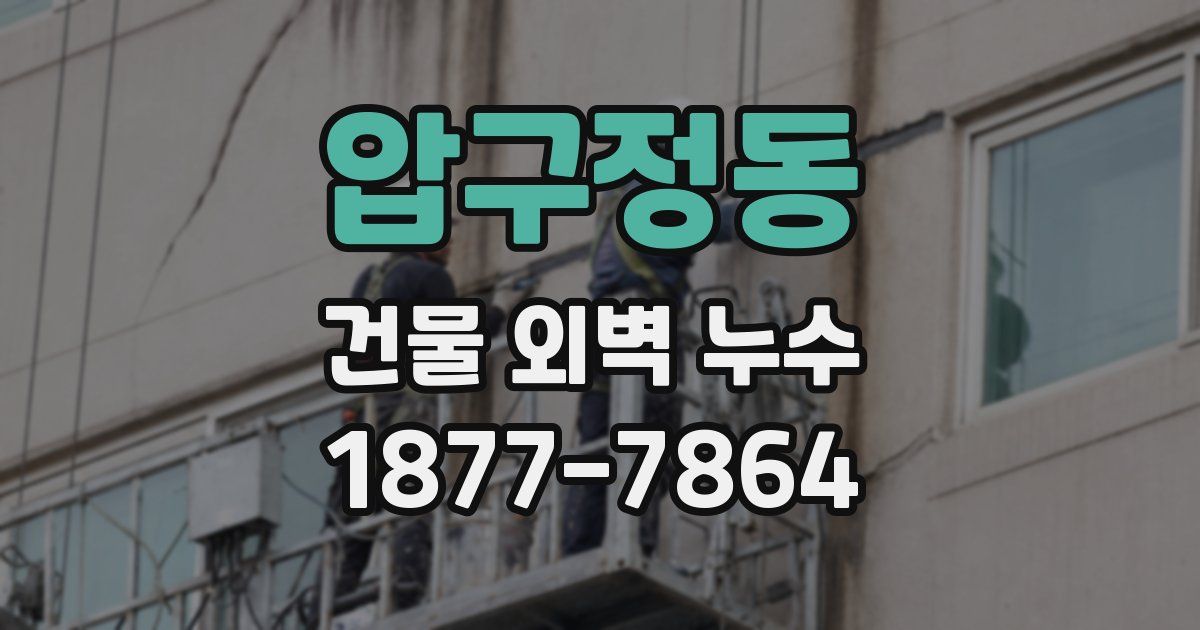 압구정동 건물 외벽 누수