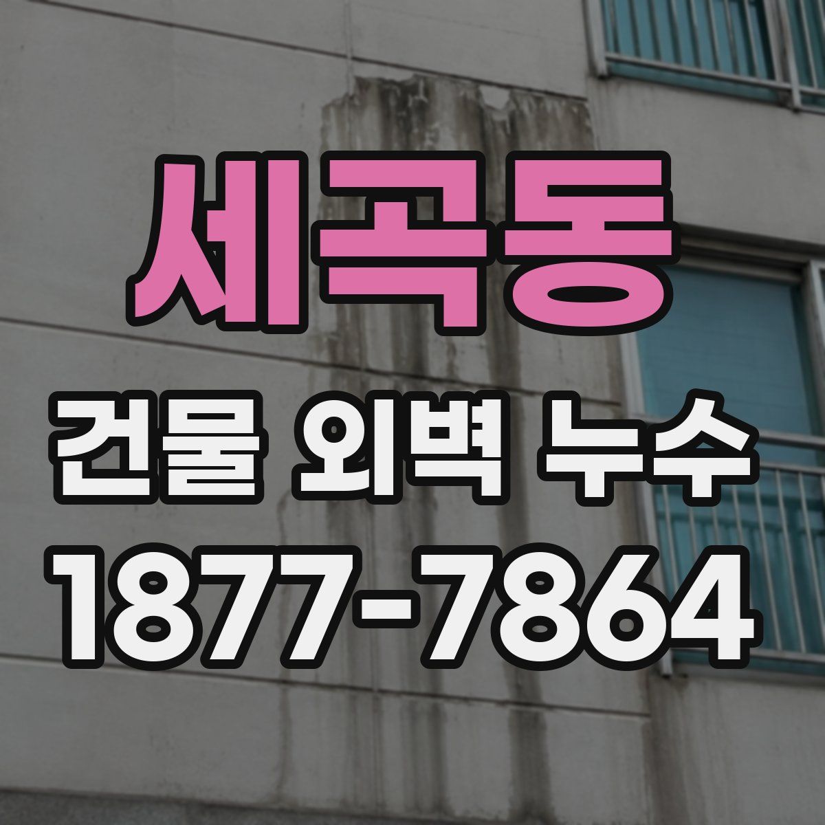 세곡동 건물 외벽 누수