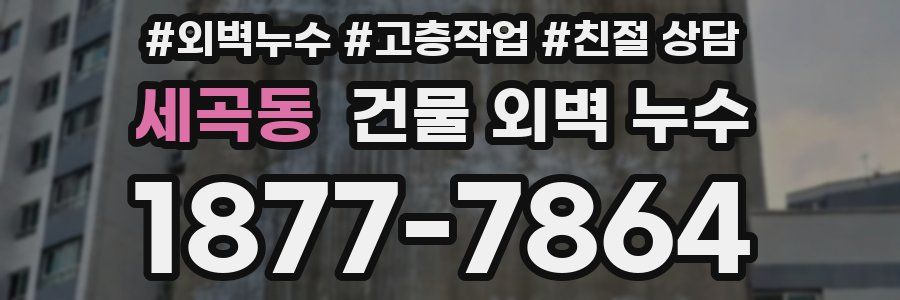 세곡동 건물 외벽 누수