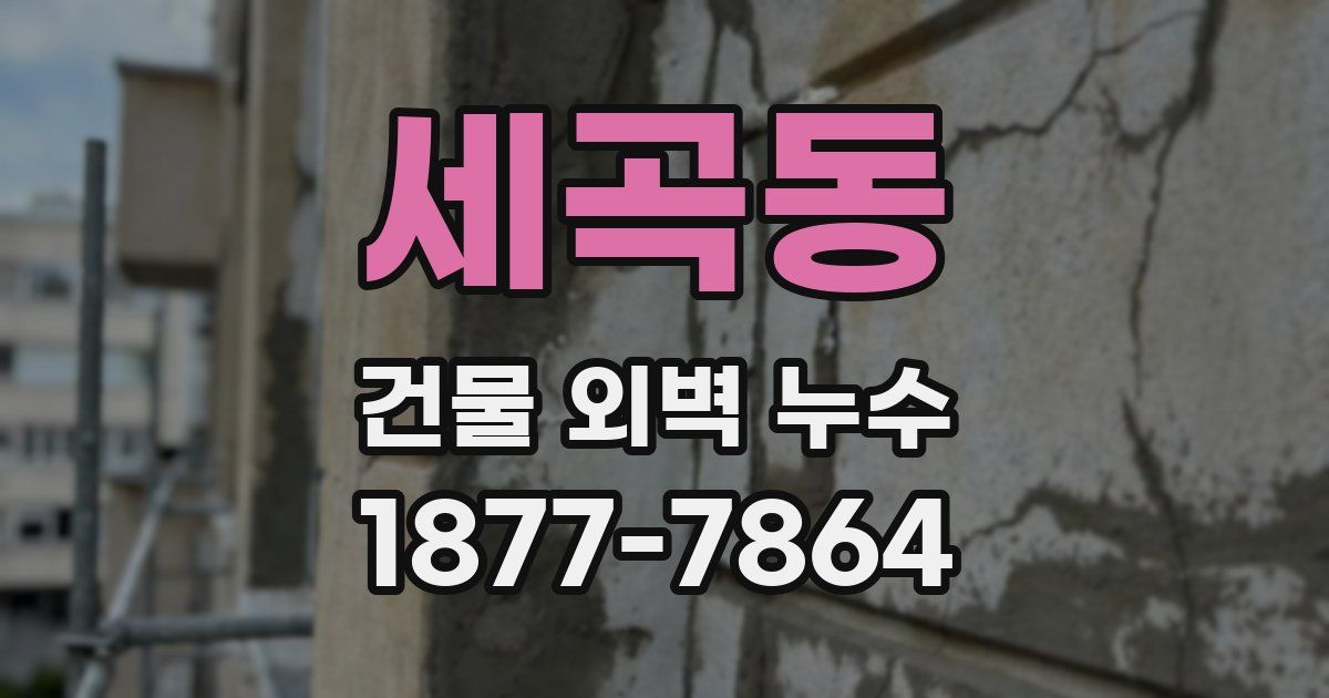 세곡동 건물 외벽 누수