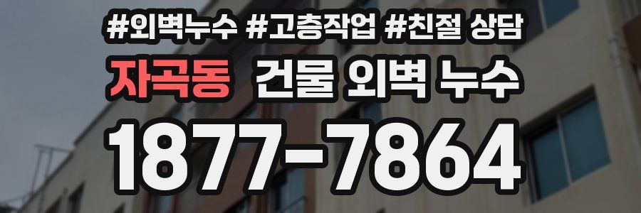 자곡동 건물 외벽 누수