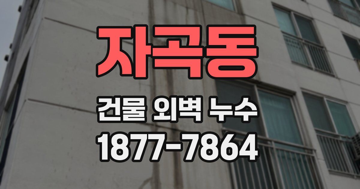 자곡동 건물 외벽 누수