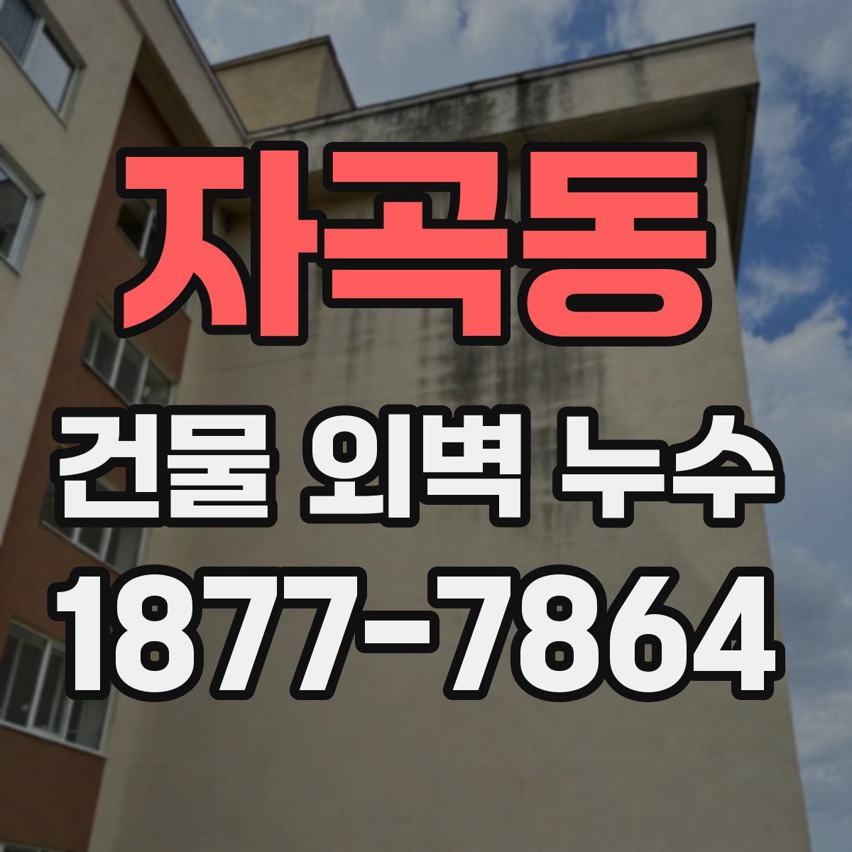 자곡동 건물 외벽 누수