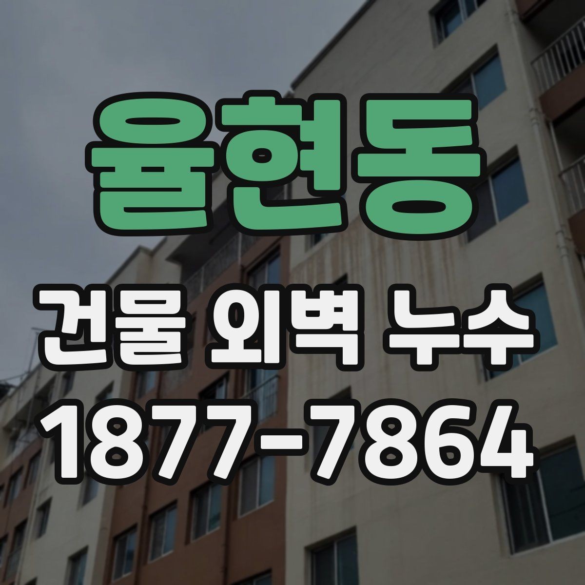 율현동 건물 외벽 누수 진단 후 보수 우선순위 정하기