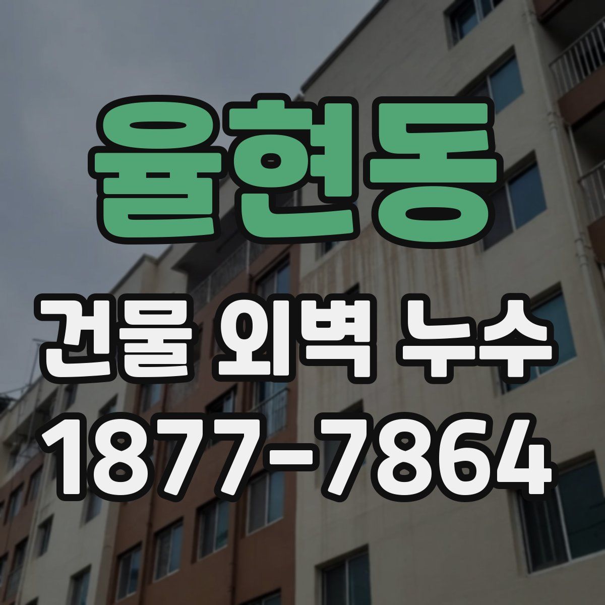 율현동 건물 외벽 누수