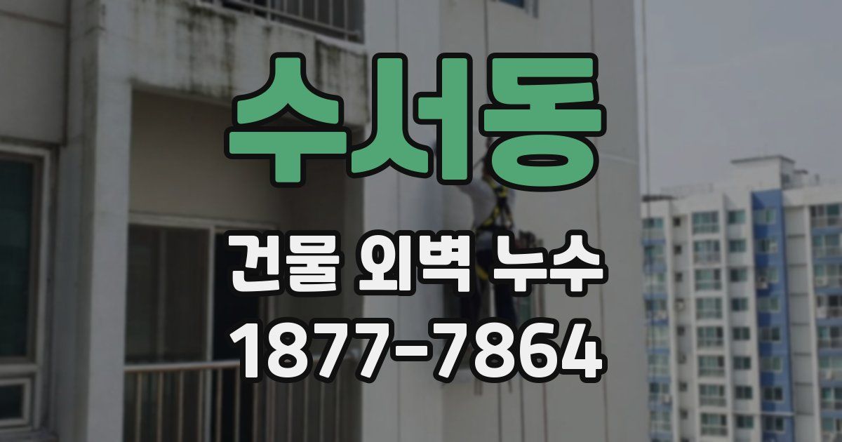 수서동 건물 외벽 누수