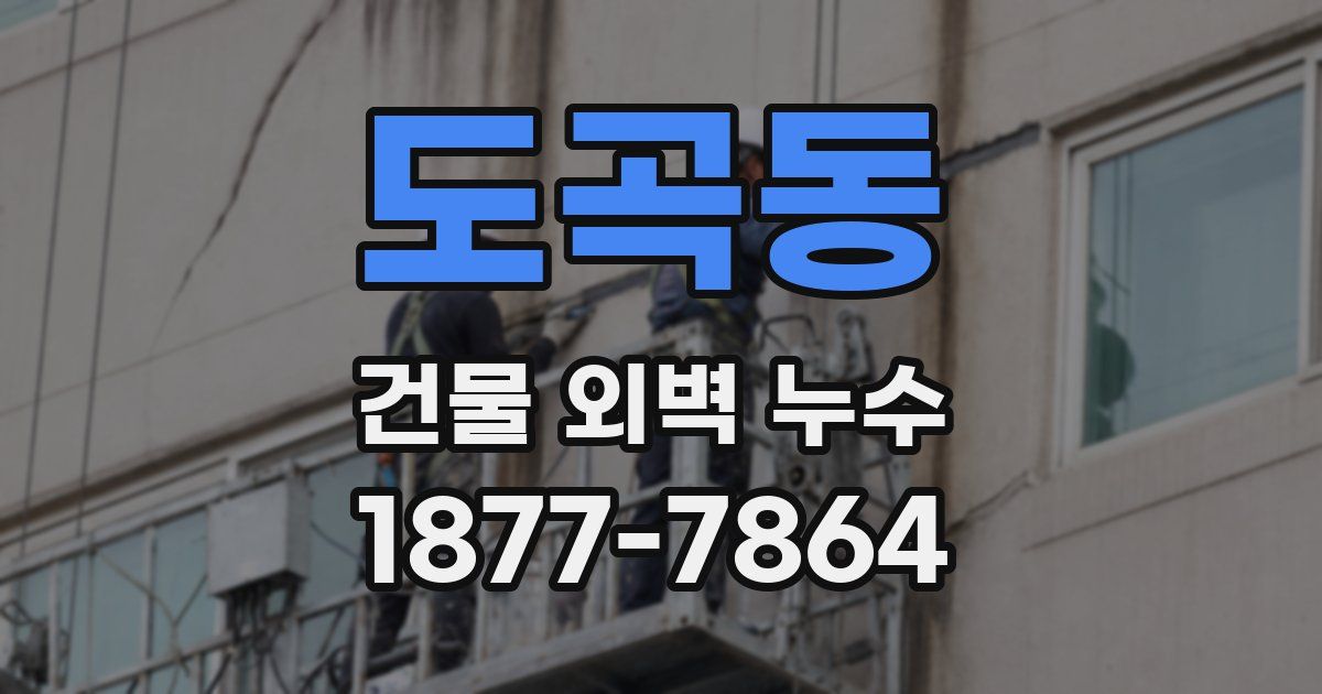 도곡동 건물 외벽 누수