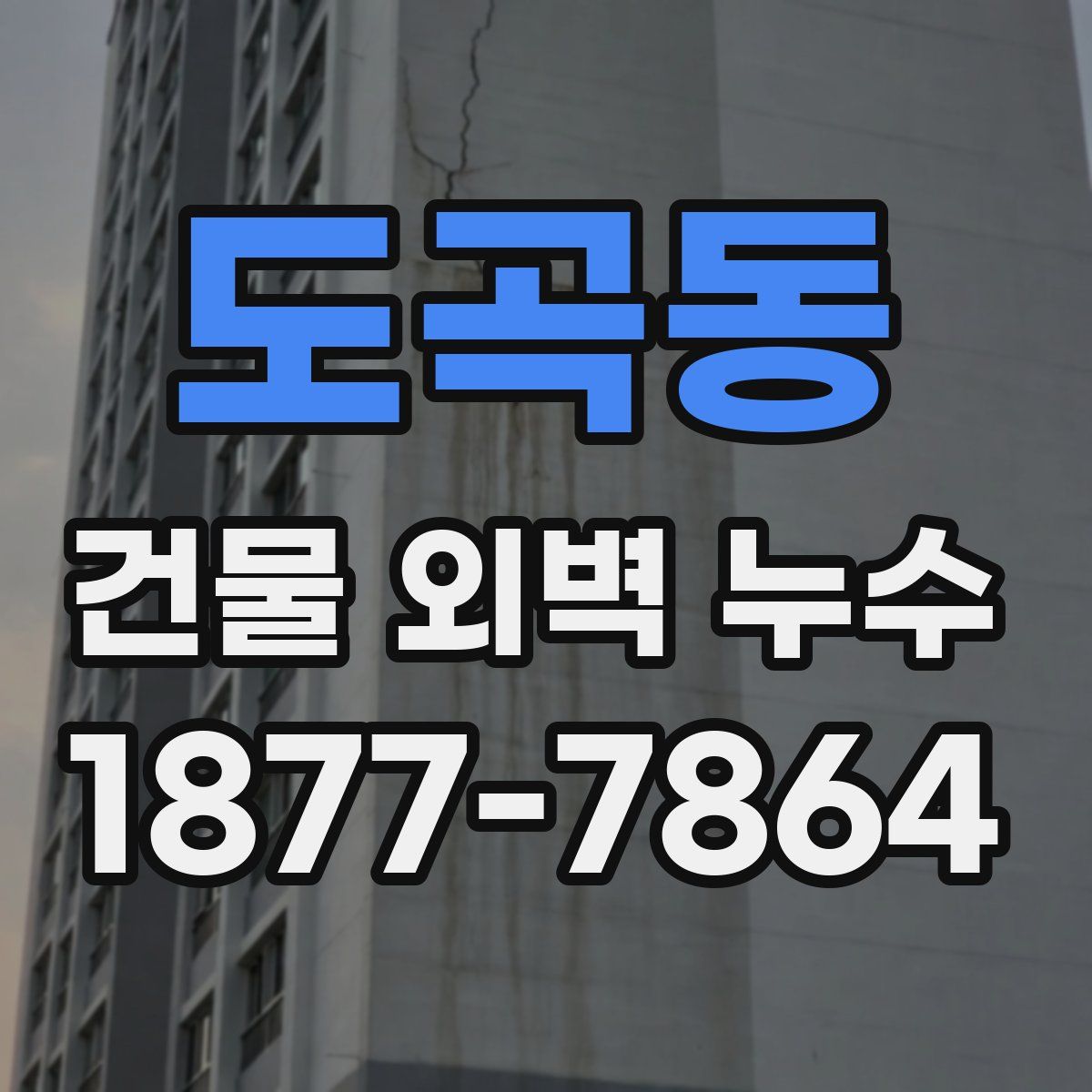 도곡동 건물 외벽 누수