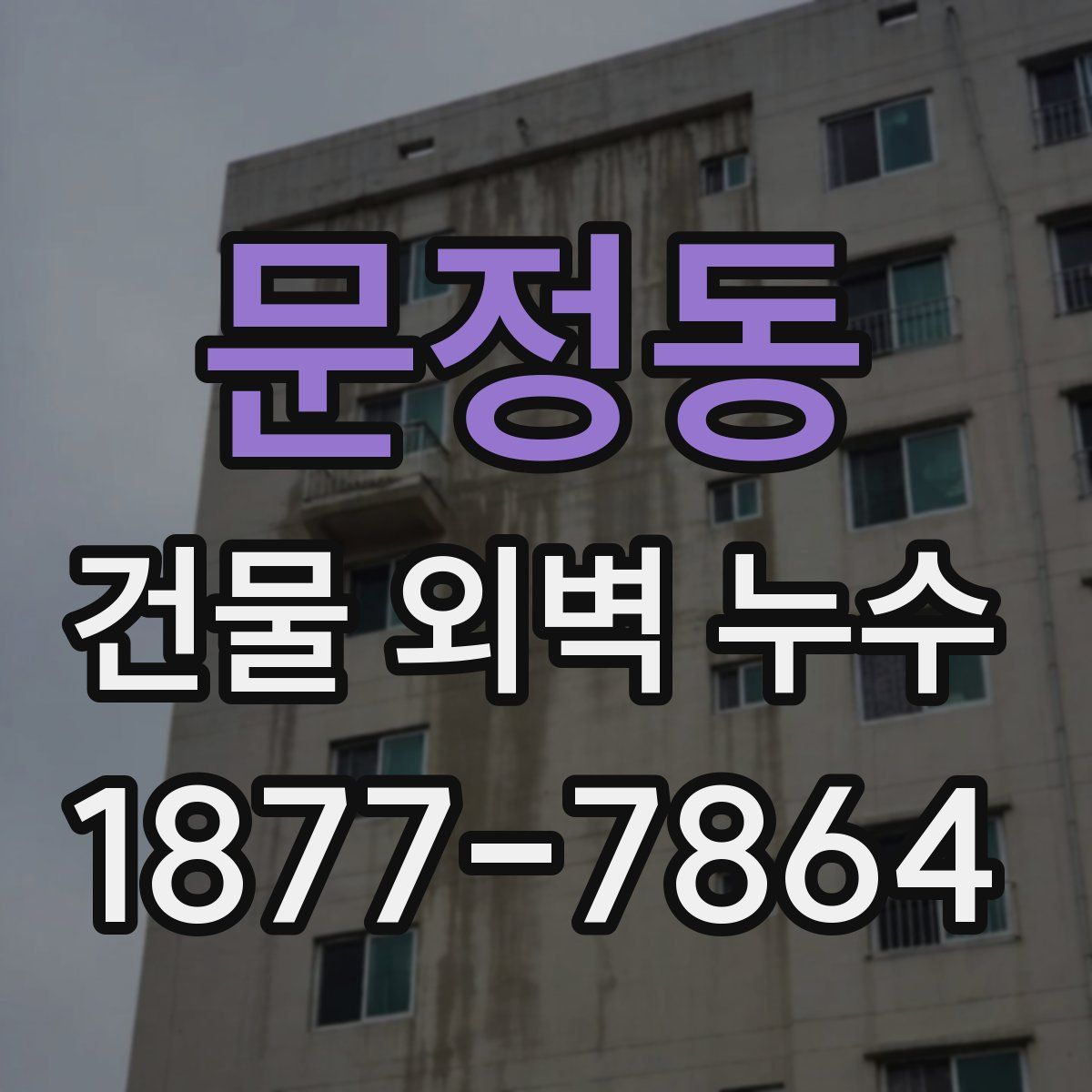 문정동 건물 외벽 누수
