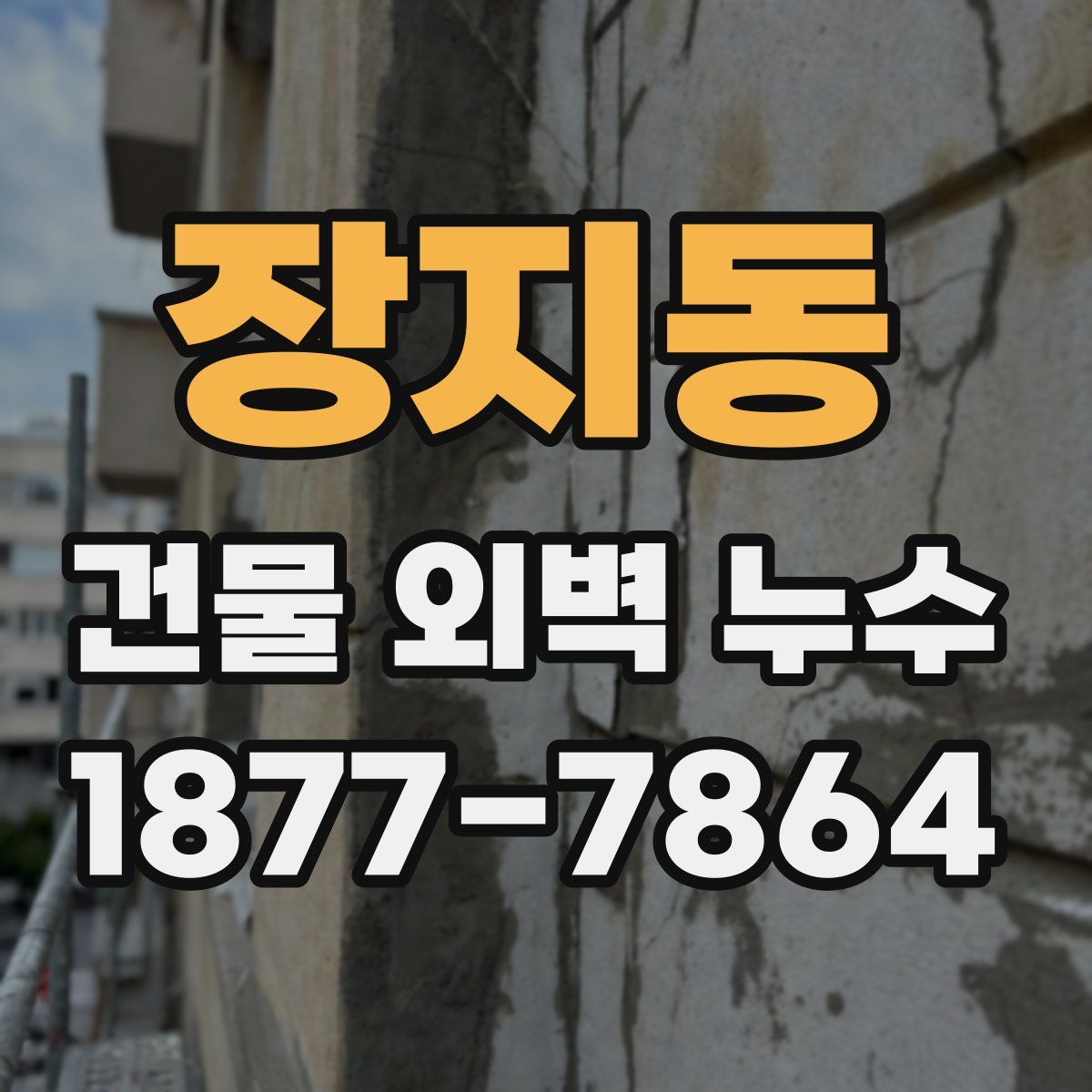 장지동 건물 외벽 누수