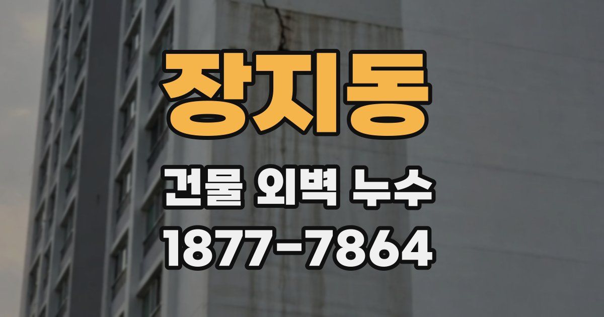장지동 건물 외벽 누수