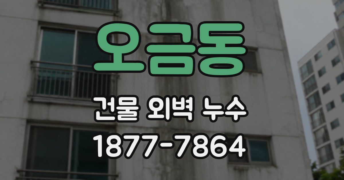 오금동 건물 외벽 누수