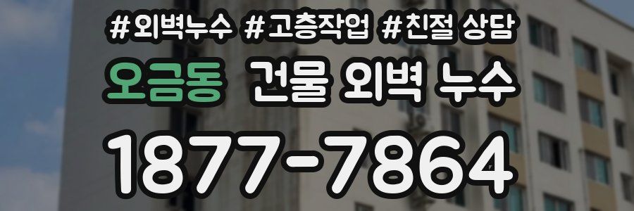 오금동 건물 외벽 누수
