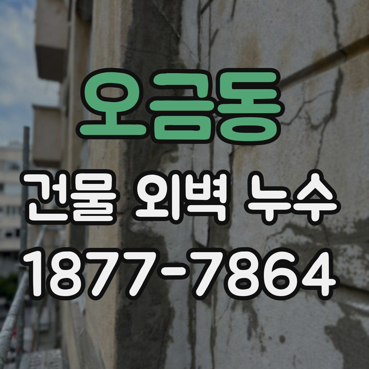 오금동 건물 외벽 누수