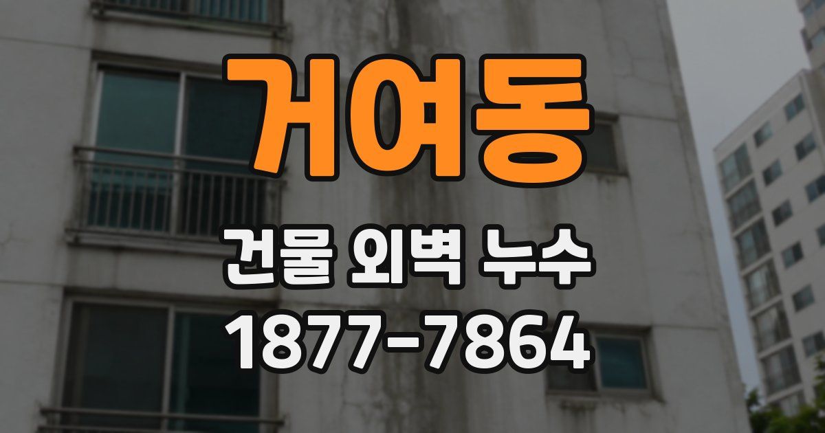 거여동 건물 외벽 누수