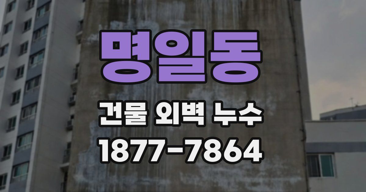 명일동 건물 외벽 누수