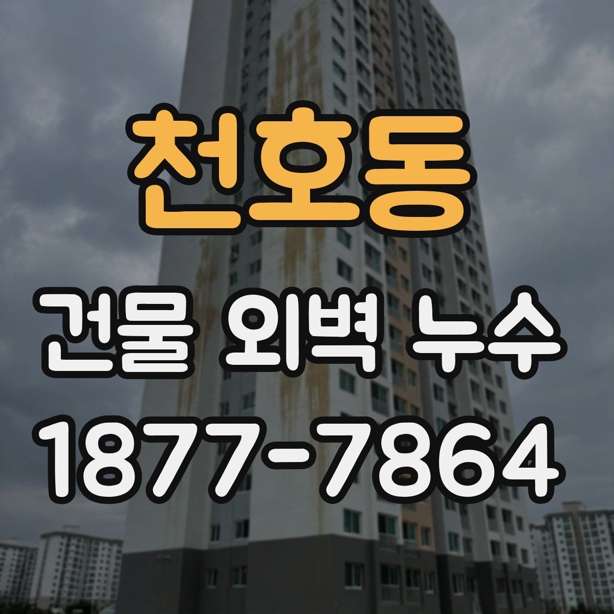 천호동 건물 외벽 누수 점검이 필요한 계절과 시기