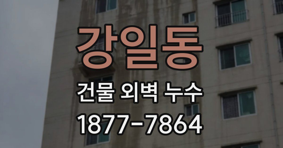 강일동 건물 외벽 누수