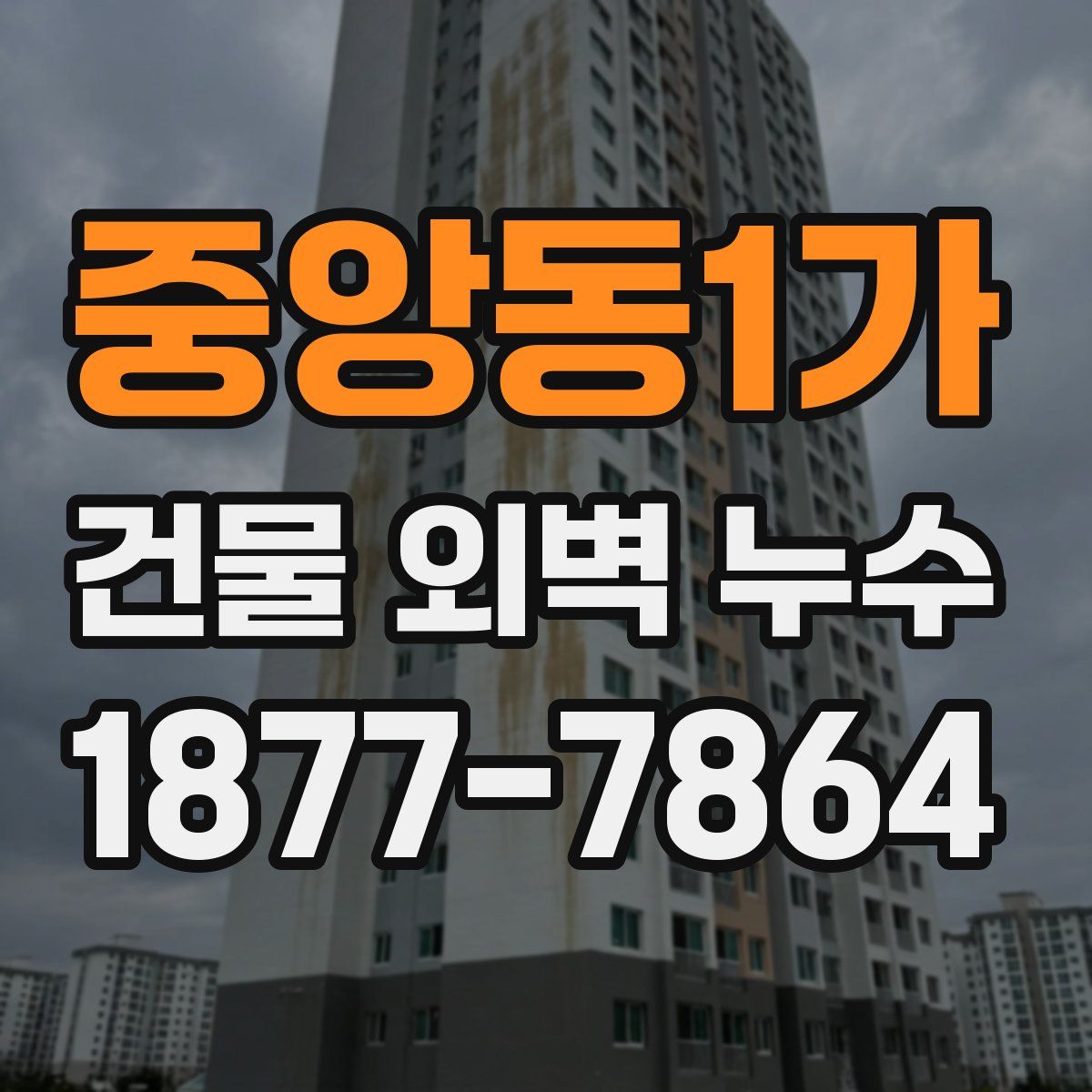 중앙동1가 건물 외벽 누수