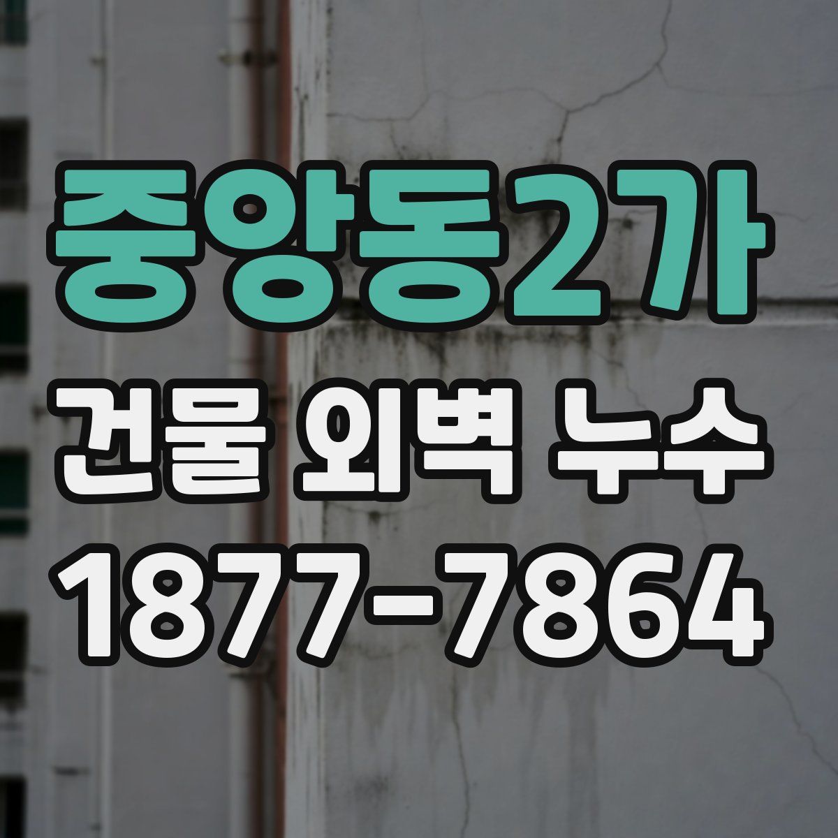 중앙동2가 건물 외벽 누수