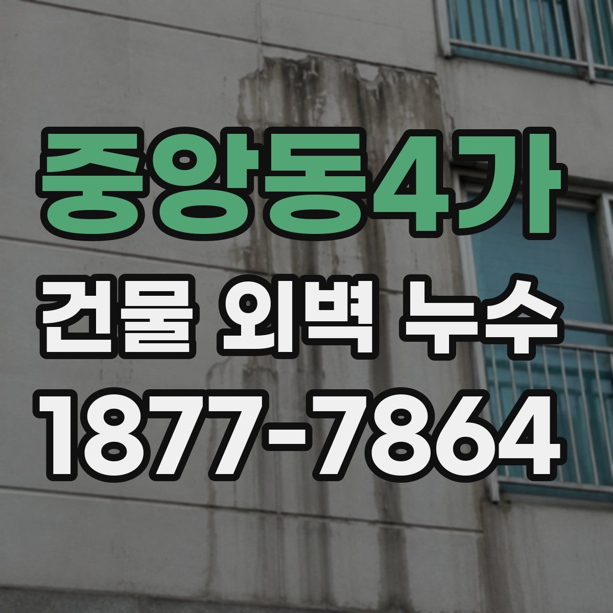 중앙동4가 건물 외벽 누수