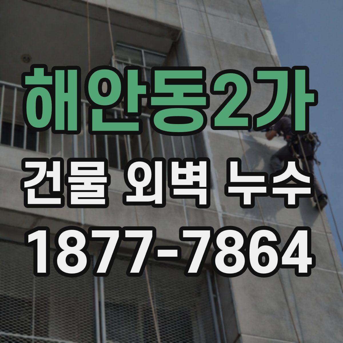 해안동2가 건물 외벽 누수