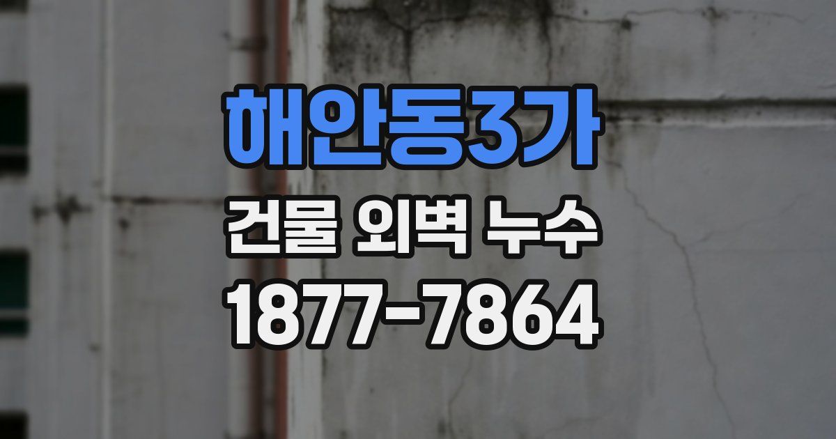 해안동3가 건물 외벽 누수