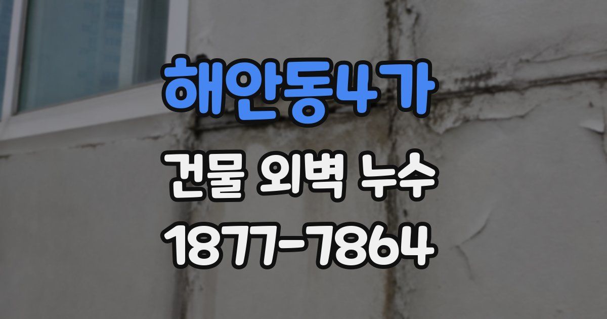해안동4가 건물 외벽 누수