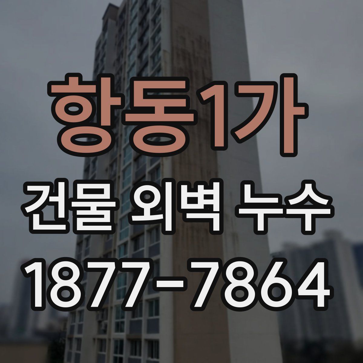 항동1가 건물 외벽 누수