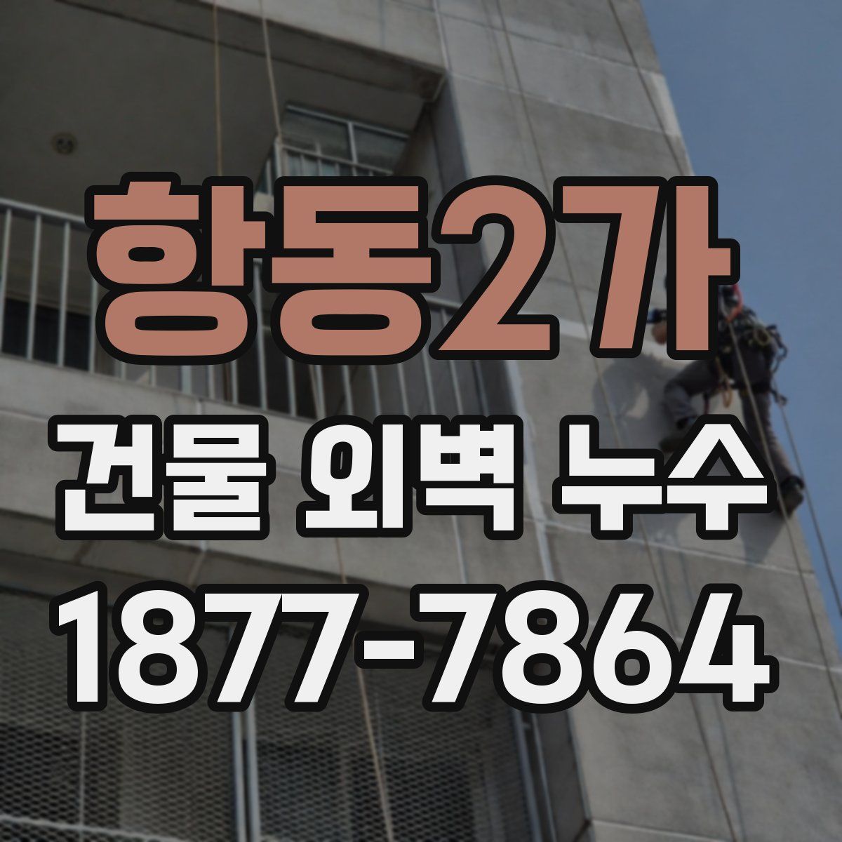 항동2가 건물 외벽 누수