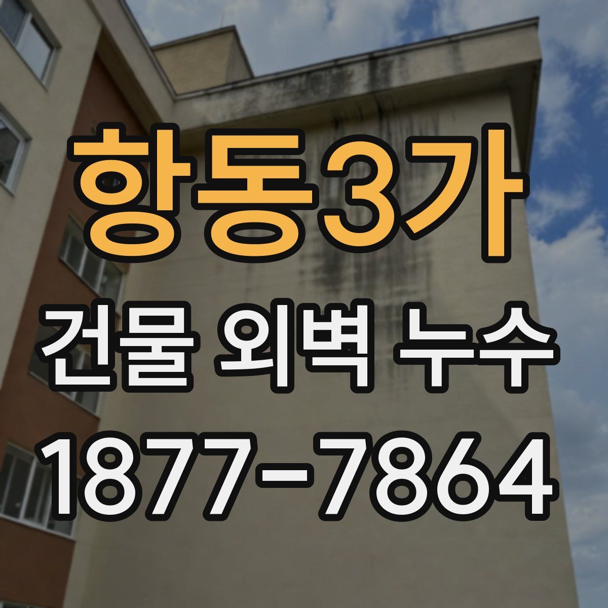 항동3가 건물 외벽 누수
