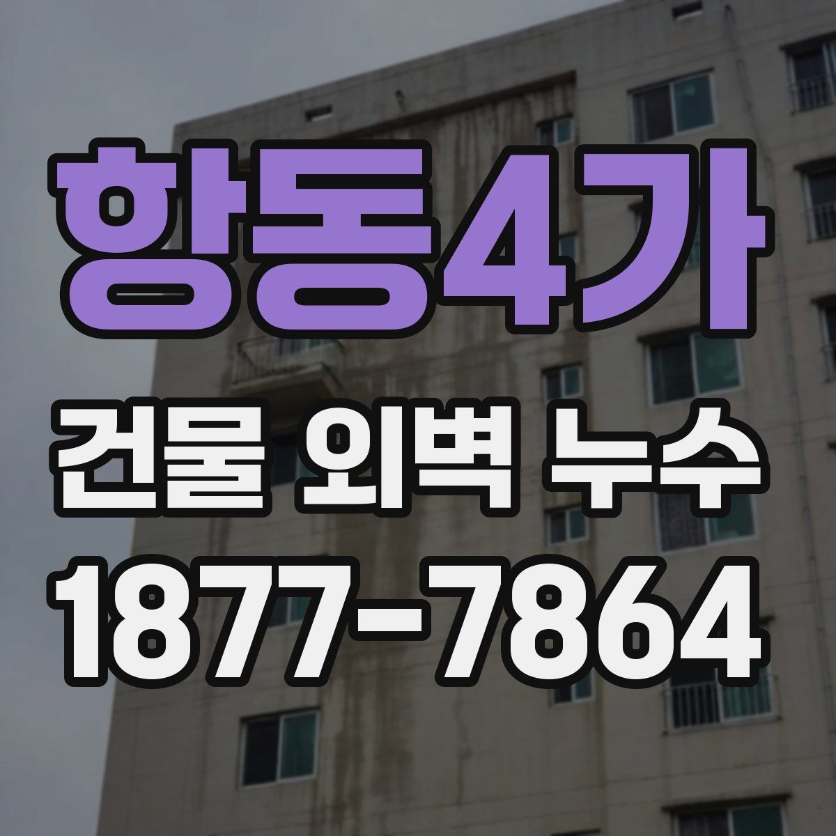 항동4가 건물 외벽 누수