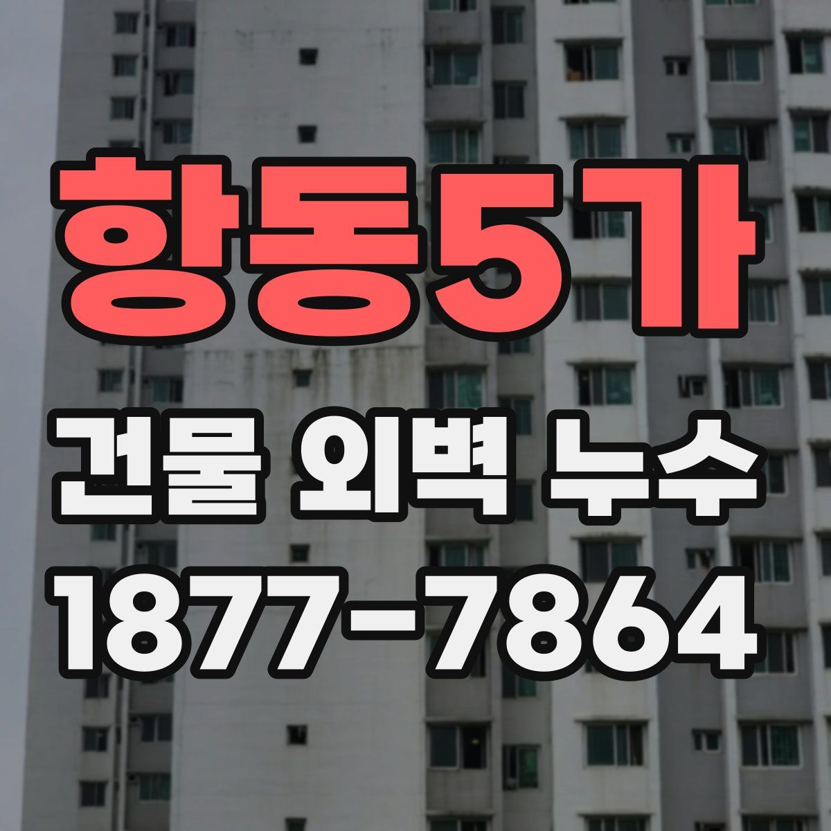 항동5가 건물 외벽 누수