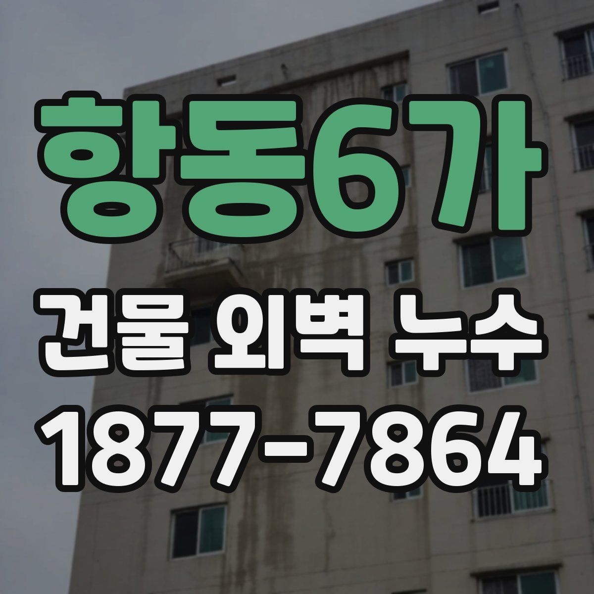 항동6가 건물 외벽 누수