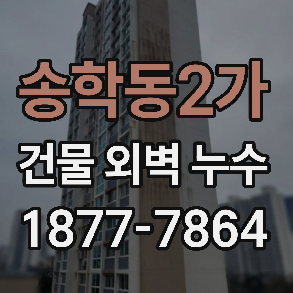 송학동2가 건물 외벽 누수