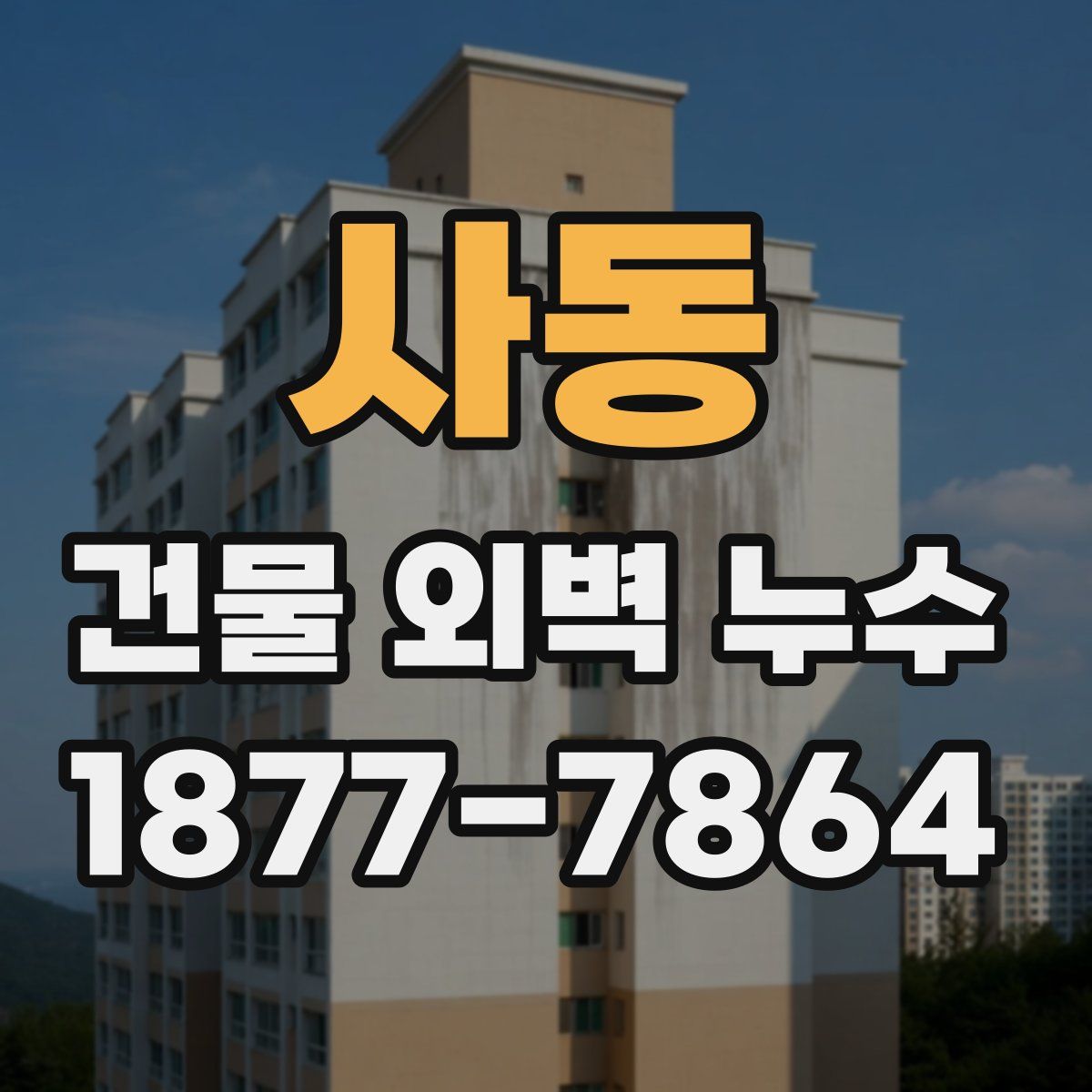 사동 건물 외벽 누수